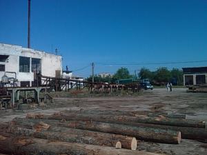 BEIUS-ORADEA 7Ha +Hale industriale