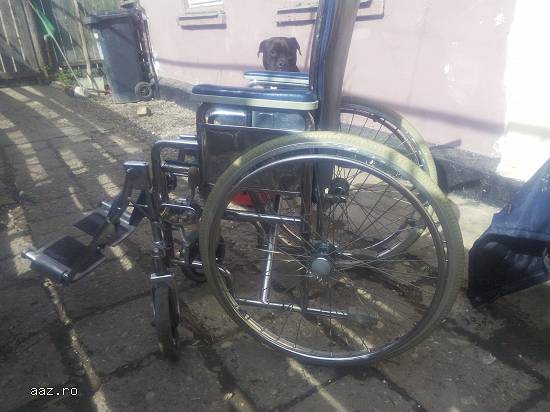 carucior handicap multifunctional