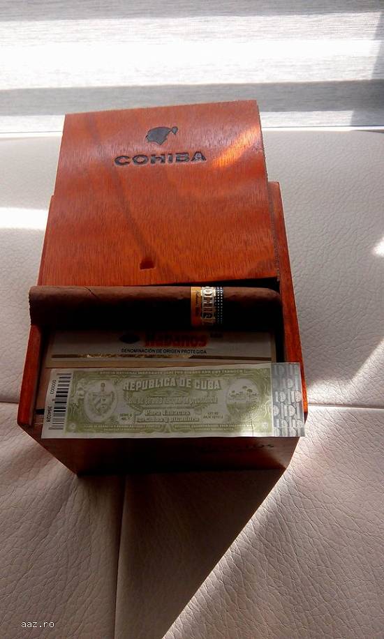 Trabucuri cubaneze Cohiba Robustos