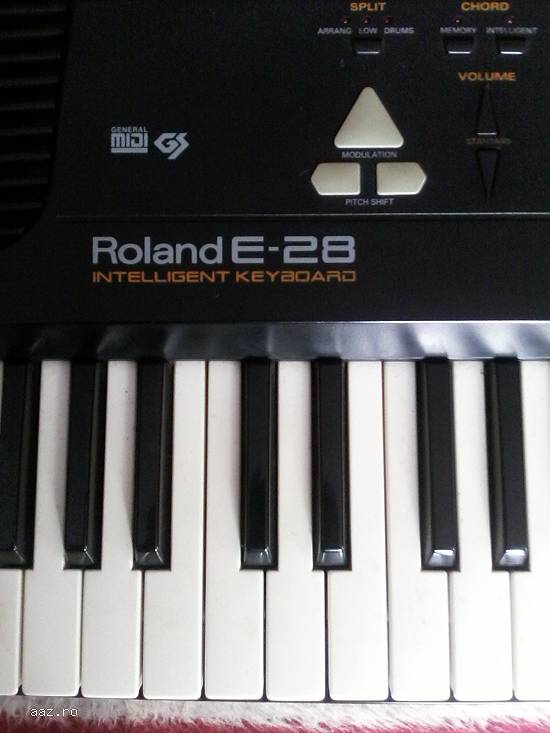 roland