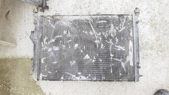 Radiator apa Renault Scenic 1,  cod: 8200062691