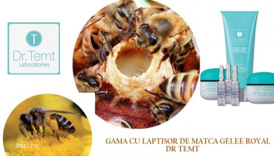 MAGAZIN COSMETICE PROFESIONALE DR. TEMT - VOPSEA DE GENE SI SPRANCENE ILASH
