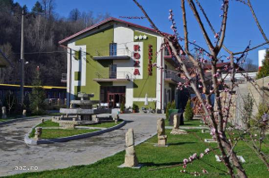 OFERTĂ PAȘTE 2016 - PENSIUNEA ROZA *** - NEHOIU