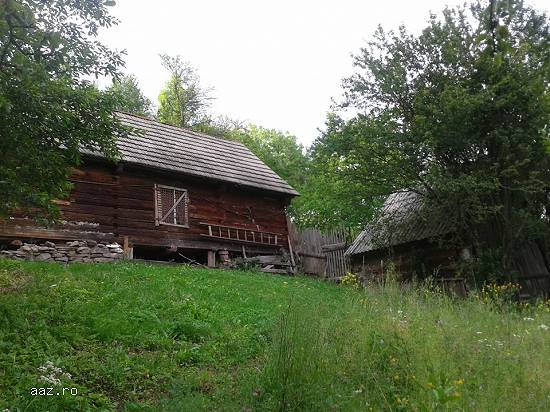 Vand casa la munte cu teren in Judetul Alba
