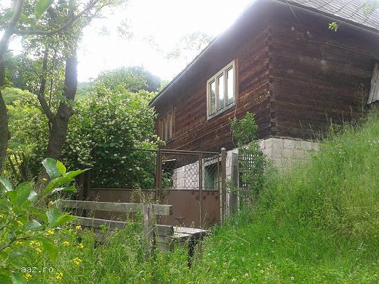 Vand casa la munte cu teren in Judetul Alba