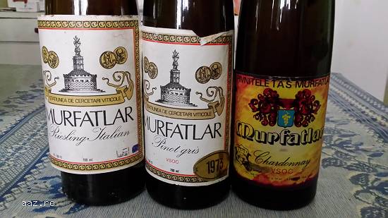 Sticle de vin foarte vechi,  de colectie