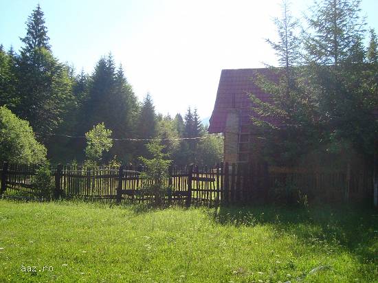 Cabana de vacanta(casa)-Valea de Pesti