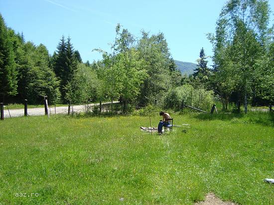 Cabana de vacanta(casa)-Valea de Pesti