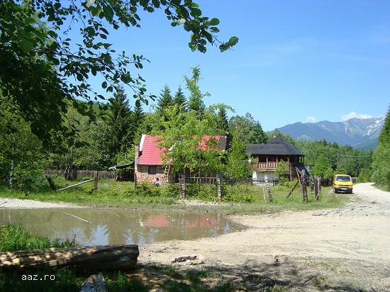 Cabana de vacanta(casa)-Valea de Pesti