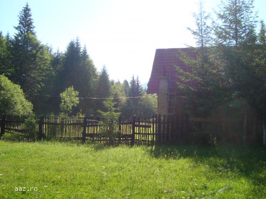 CABANA-VALEA DE PESTI
