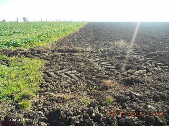 Vanzare teren intravilan agricol Tandarei