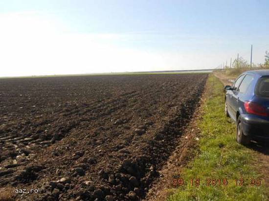 Vanzare teren intravilan agricol Tandarei