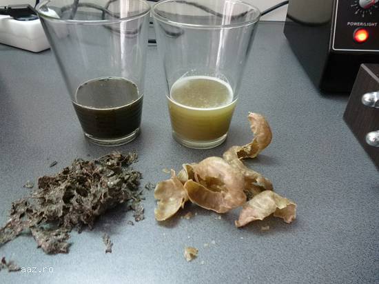 Presa de ulei teste de laborator verificare acid oleic