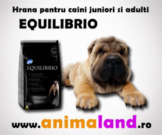 Hrana uscata Equilibrio