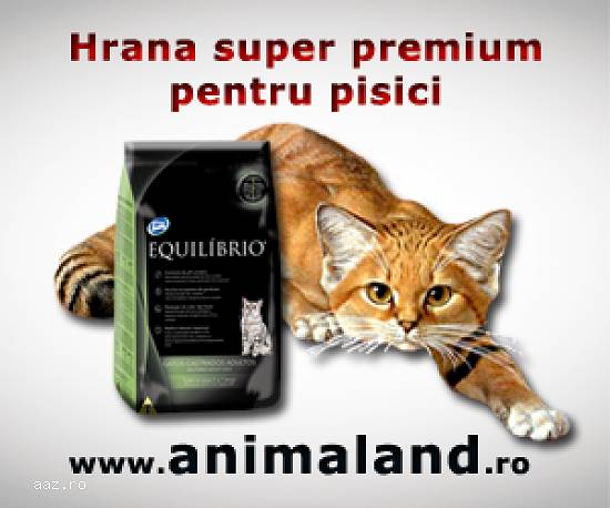 Hrana uscata Equilibrio