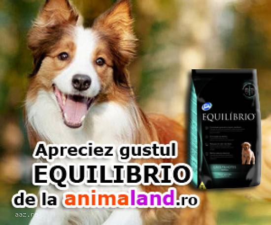 Hrana uscata Equilibrio