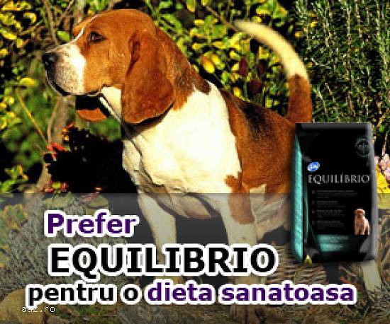 Hrana uscata Equilibrio