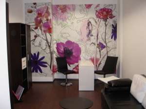 CEDEZ SALON INFRUMUSETARE