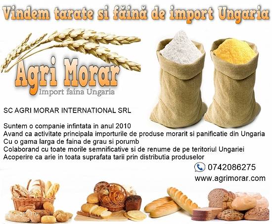 vindem faina import ungaria