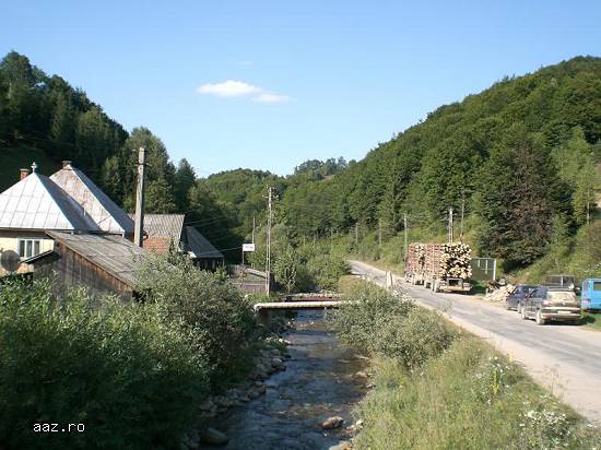 Cabana turistica