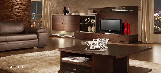 Mobila sau mobilier modern