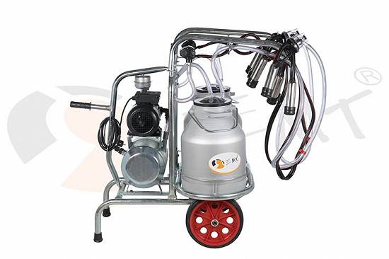 Aparat de muls bovine cu 2 posturi si 2 bidoane 30l aluminiu