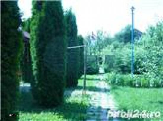 Vila Curtea de Arges