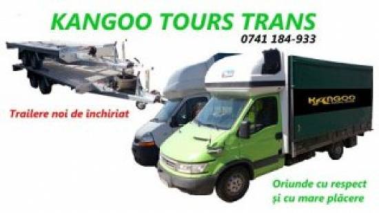Transport marfa auto intern international