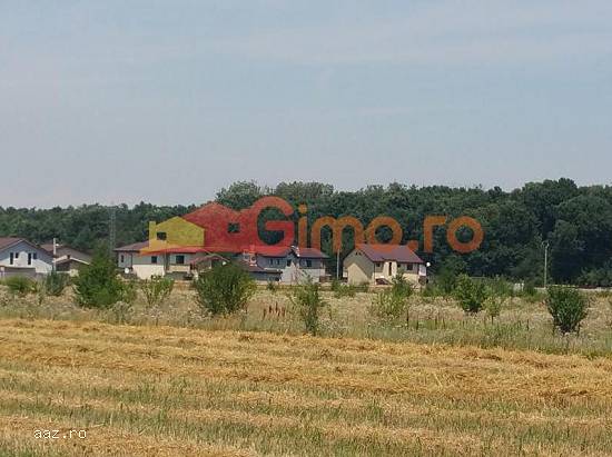 Vanzare teren langa padure Gulia,  Tartasesti
