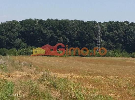 Vanzare teren langa padure Gulia,  Tartasesti