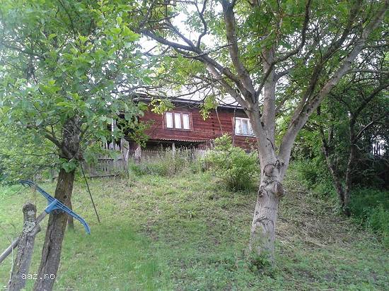 Vand casa la munte cu teren in Judetul Alba