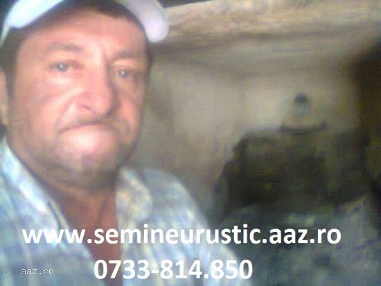 Reparat Incinerator Cuptor Crematoriu Bucovina ,  Vatra Dornei ,  Bicaz ,  Dorna Candrenilor