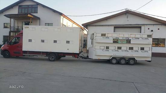 Efectuez transport orice tip de marfa si animale vii in autoutilitara