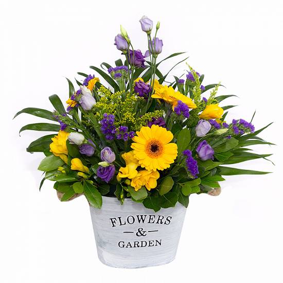 Florarie online ADA  Livrare Flori