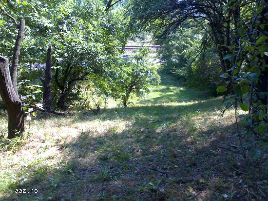 teren intravilan Poiana Campina (front stradal 18m)