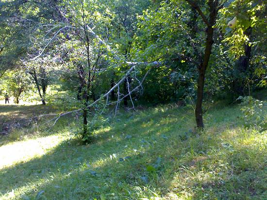 teren intravilan Poiana Campina (front stradal 18m)