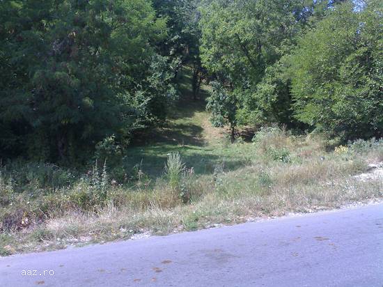 teren intravilan Poiana Campina (front stradal 18m)