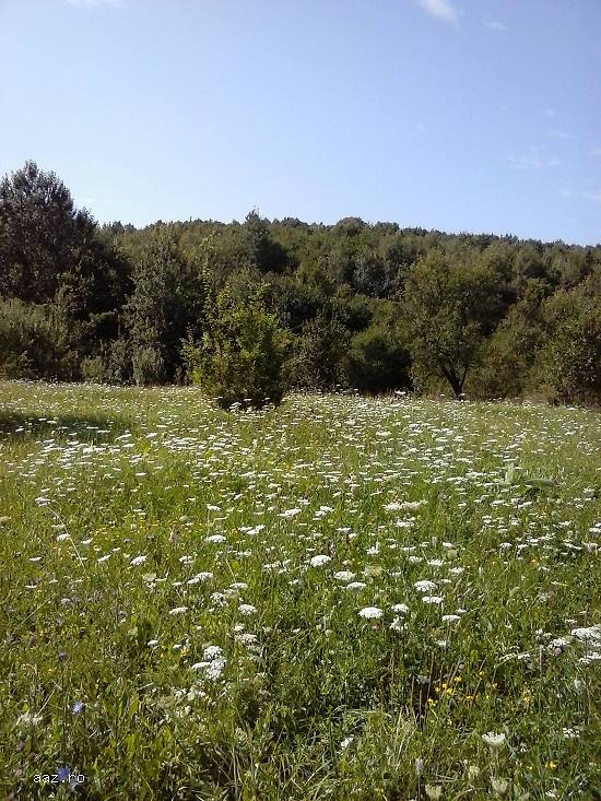 Teren 5000mp Ramnicu Valcea