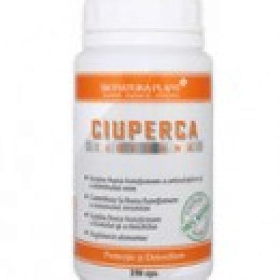 OFERTA BIONATURA PLANT LUNA IULIE  !
