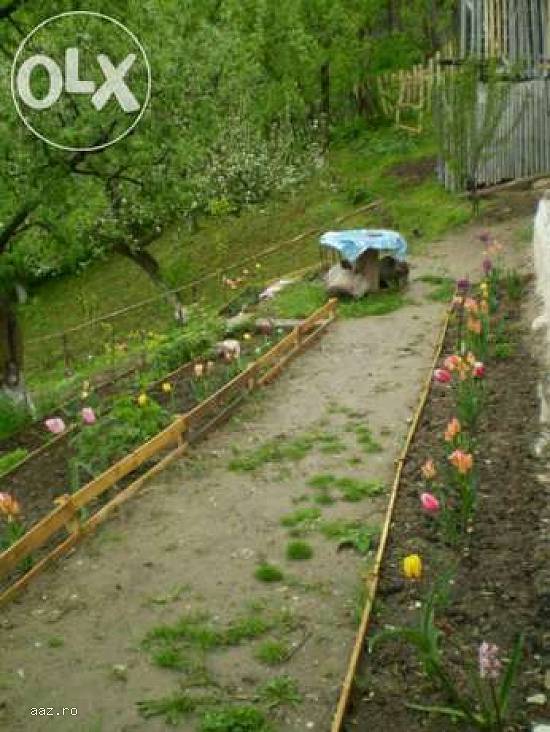 Oferta casa si teren intr-o zona unde domneste linistea,   simplitatea si natura.