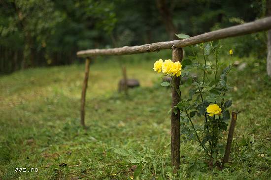 Oferta casa si teren intr-o zona unde domneste linistea,   simplitatea si natura.