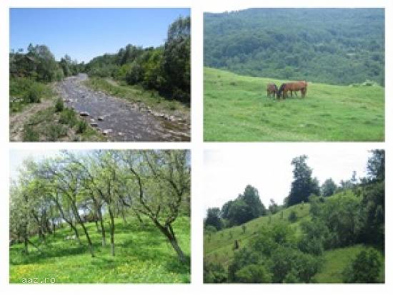Inchiriez vila munte 8 pers.280 ron zi