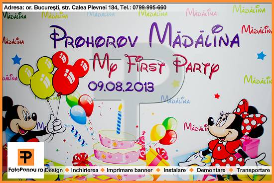 Panou foto cu banner personalizat pentru nunta,  botez,  aniversare