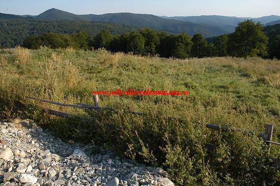 Sinaia - vanzare teren cota 1000