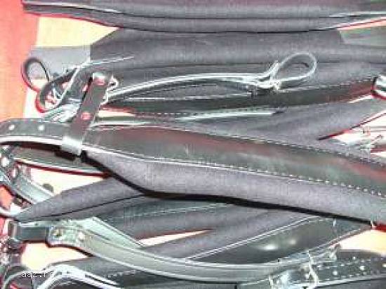 Curele acordeon Guerrini,   Dallape,   Weltmeister,   Roland,   Hohner,   etc.