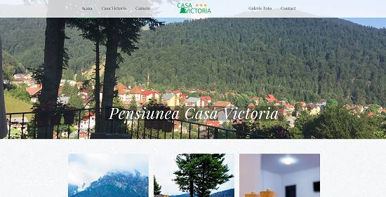 Site web de prezentare