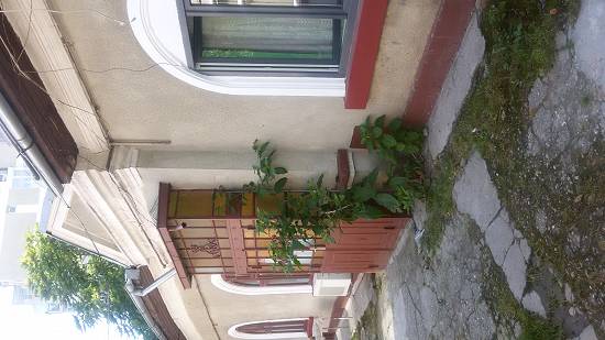 imobiliare