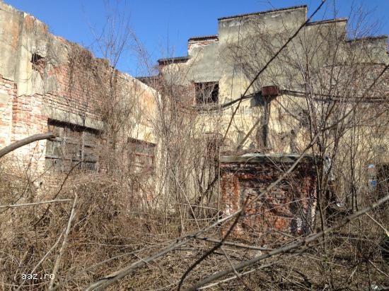 Lichidator judiciar,       vand spatiu industrial,       Satu Mare,       str. Cerbului (lotul 1)