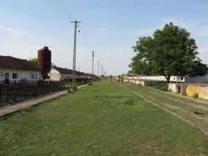 Vand ferma Nadlac,  Arad
