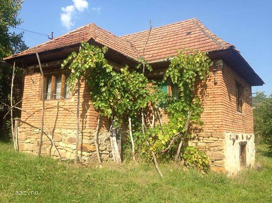 Vand casa cu teren